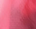Duidelijke Geverfte Geweven Nylon Stoffen300t Aangepaste Kleur voor Sportkleding leverancier